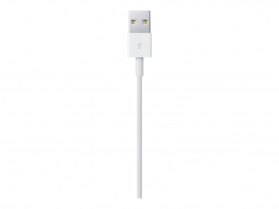  | Apple Lightning-Kabel - Lightning männlich zu USB männlich - 1 m - für iPad/iPhone/iPod (Lightning)