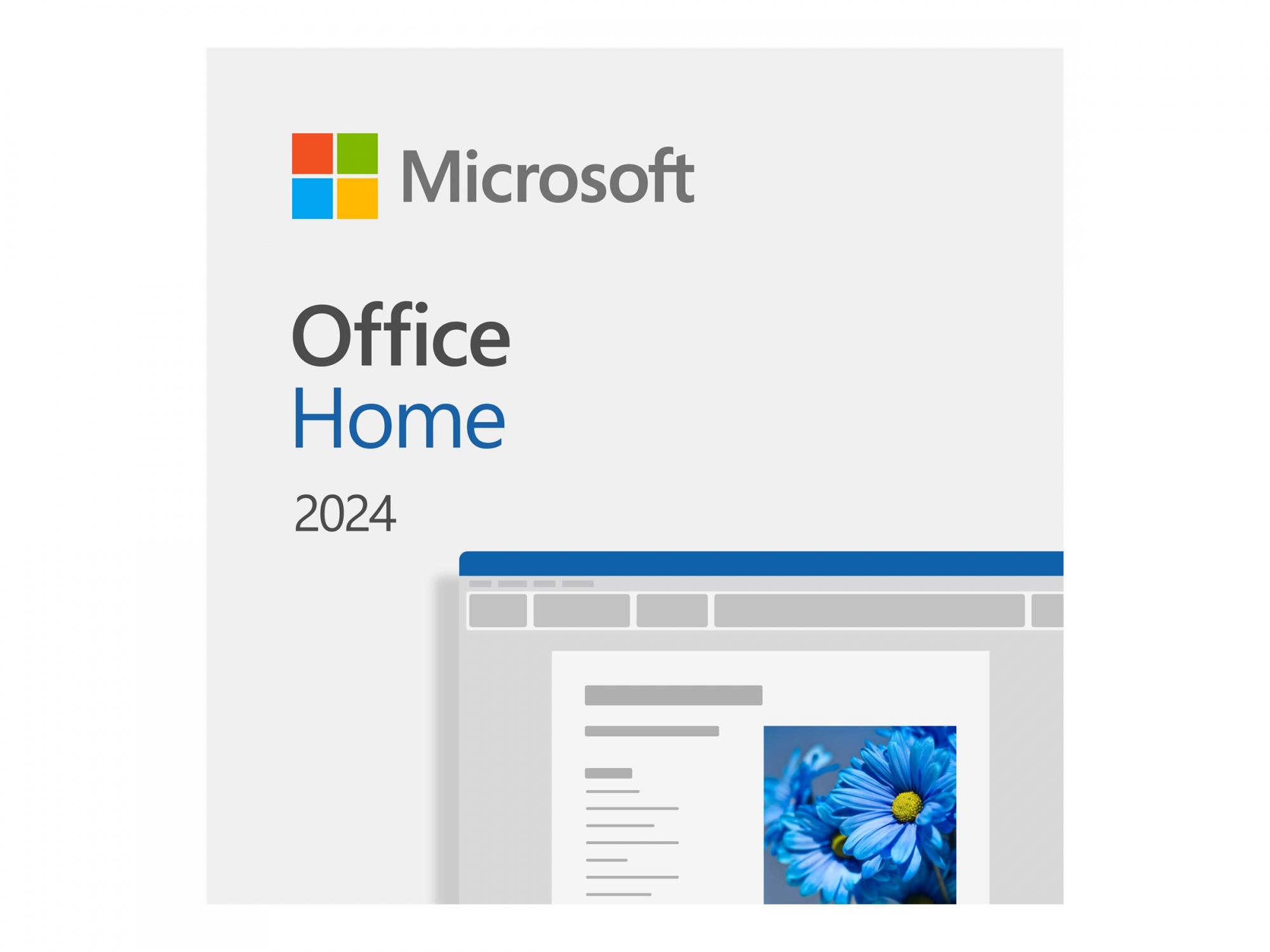 Microsoft Office Home and Student 2024 - Box-Pack