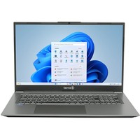 TERRA MOBILE 1717R i5-1334U W11 - Notebook - Core i5