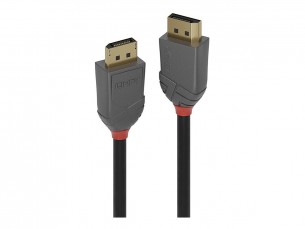  | Lindy Anthra Line - DisplayPort-Kabel - DisplayPort (M)
