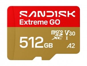 | SanDisk Extreme Go - Flash-Speicherkarte - 512