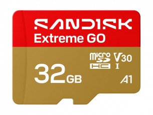 | SanDisk Extreme Go - Flash-Speicherkarte - 32