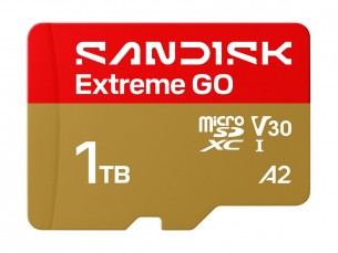 | SanDisk Extreme Go - Flash-Speicherkarte - 1