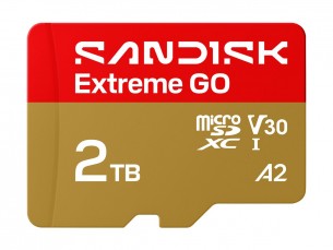 | SanDisk Extreme Go - Flash-Speicherkarte - 2