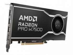 | AMD Radeon Pro W7500 - Grafikkarten - Radeon Pro W7500