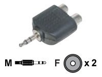  | Assmann DIGITUS - Audio-Adapter - RCA weiblich zu Stereo