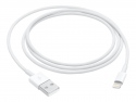 Apple Lightning-Kabel - Lightning mnnlich zu USB mnnlich