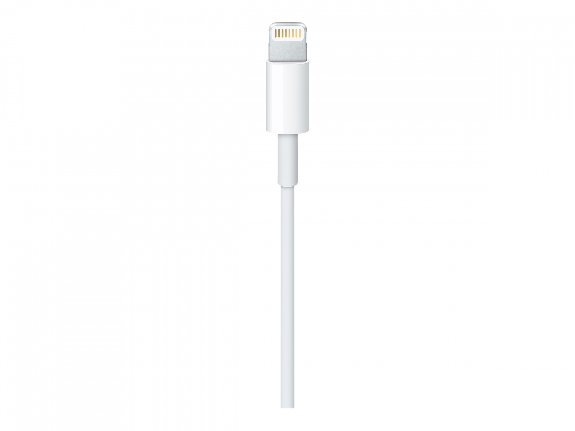 Apple Lightning-Kabel - Lightning mnnlich zu USB mnnlich