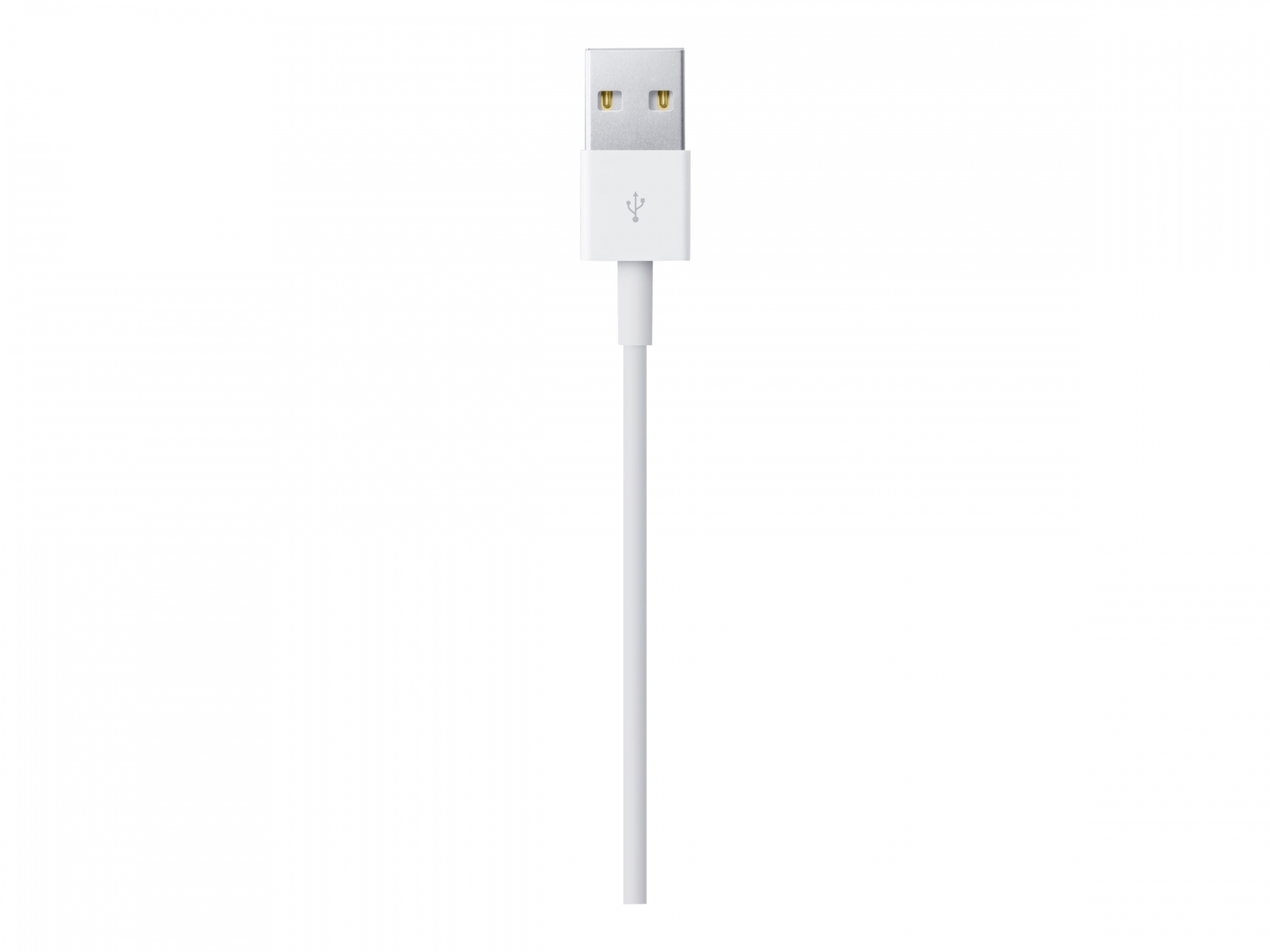 Apple Lightning-Kabel - Lightning mnnlich zu USB mnnlich
