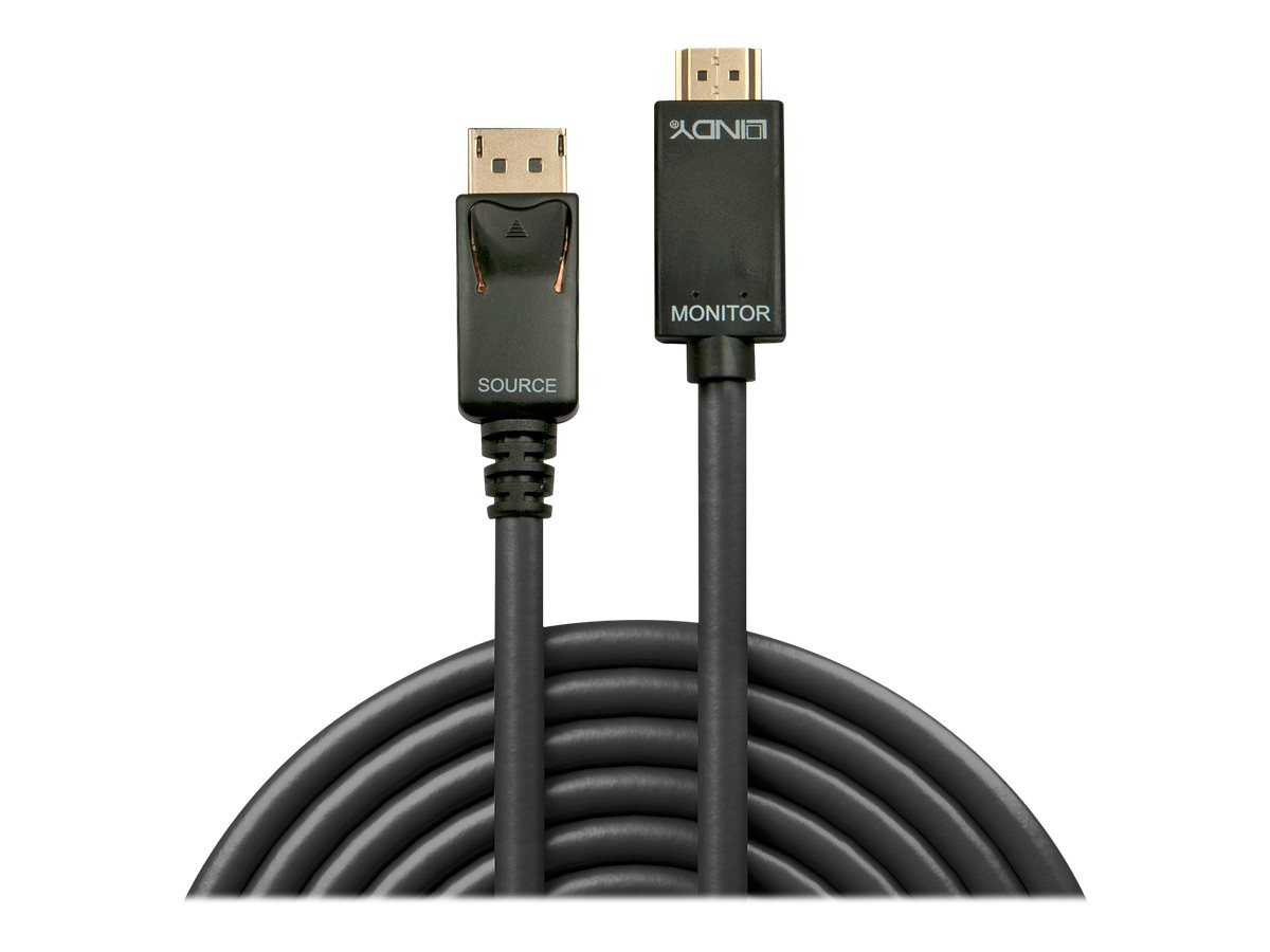 Lindy Adapterkabel - DisplayPort männlich zu
