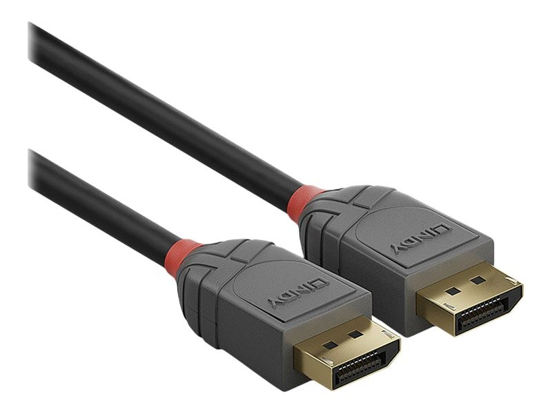 Lindy Anthra Line - DisplayPort-Kabel - DisplayPort (M)