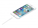 Apple Lightning-Kabel - Lightning mnnlich zu USB mnnlich