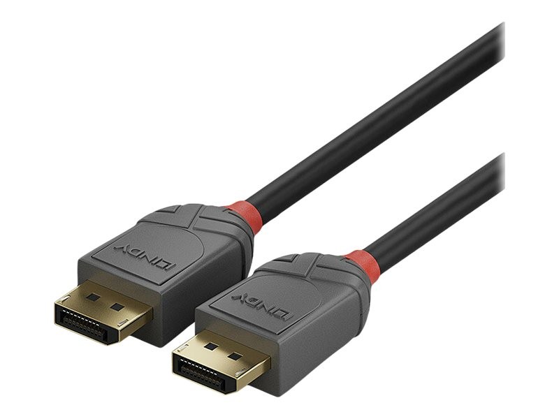 Lindy Anthra Line - DisplayPort-Kabel - DisplayPort (M)
